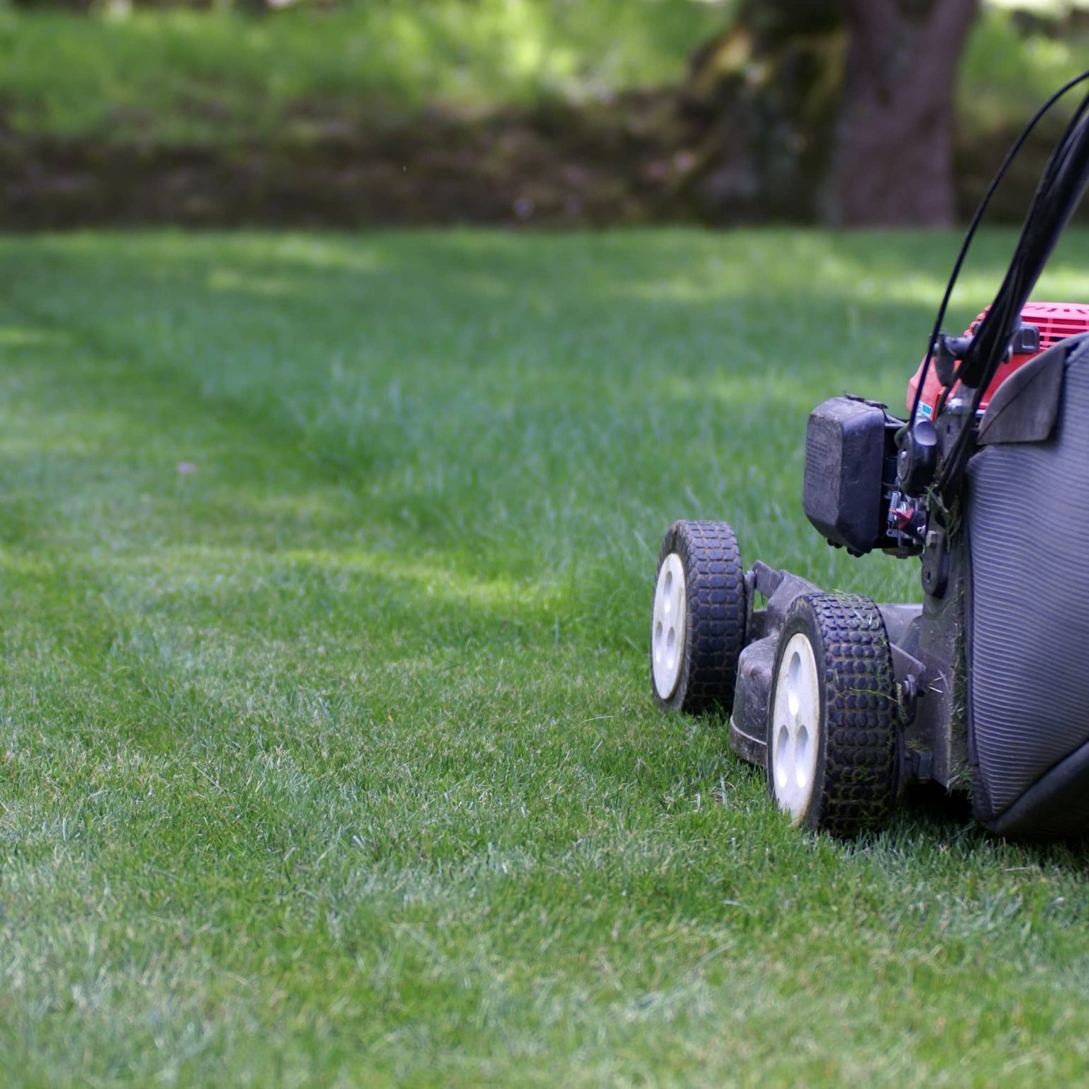 Entretien de jardin — tonte de pelouse et taille de haies par Renoday en Brabant wallon