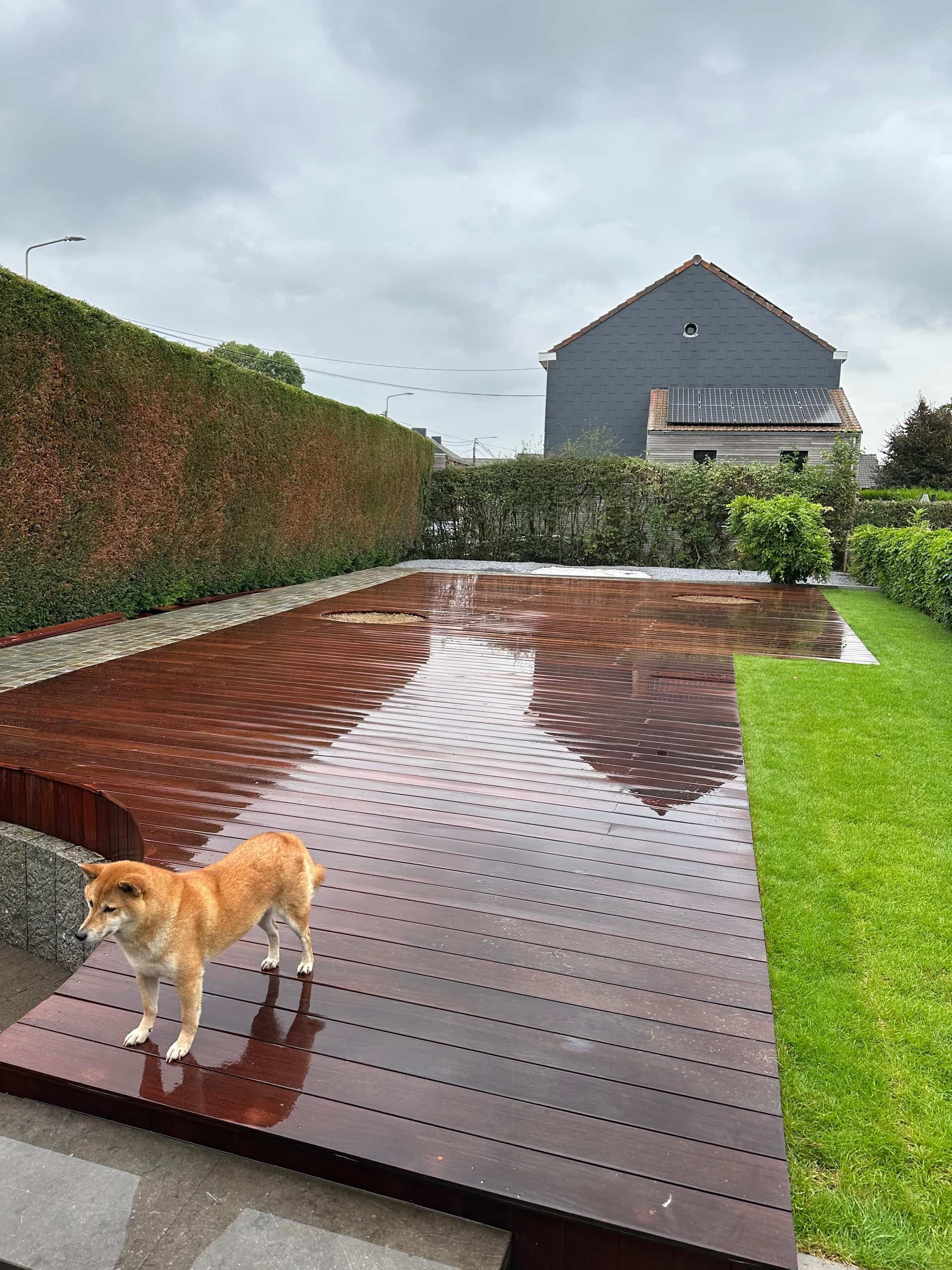 Réalisation jardin Renoday en Brabant wallon