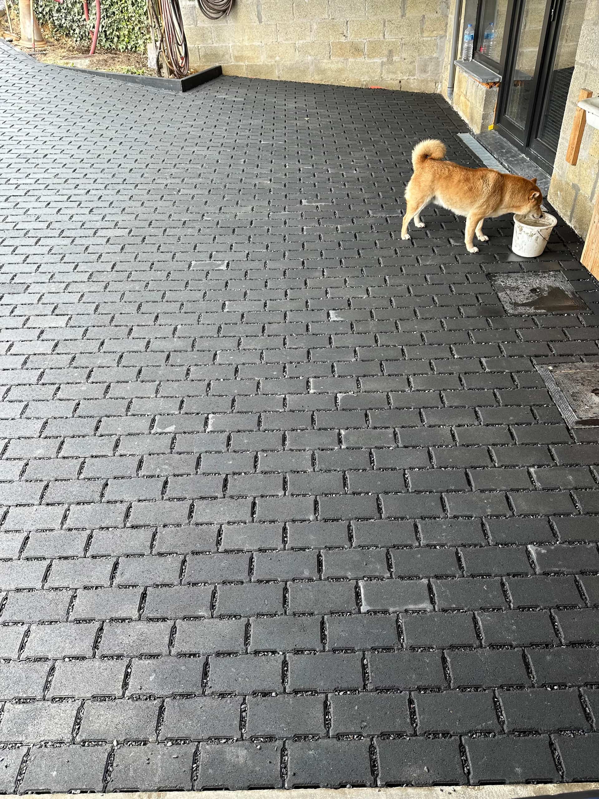 Réalisation jardin Renoday en Brabant wallon
